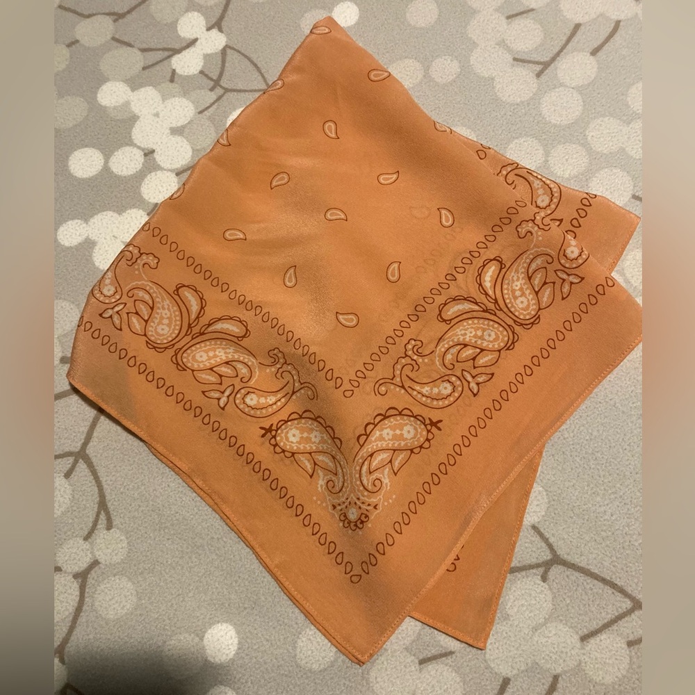 J Crew Paisley Bandana (Like New condition)